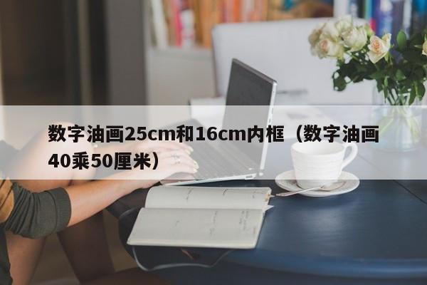 数字油画25cm和16cm内框（数字油画40乘50厘米）