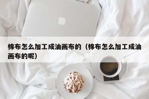 棉布怎么加工成油画布的（棉布怎么加工成油画布的呢）