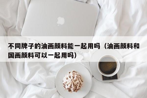 不同牌子的油画颜料能一起用吗（油画颜料和国画颜料可以一起用吗）