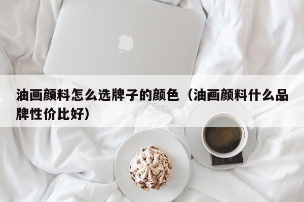 油画颜料怎么选牌子的颜色（油画颜料什么品牌性价比好）