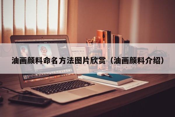 油画颜料命名方法图片欣赏（油画颜料介绍）