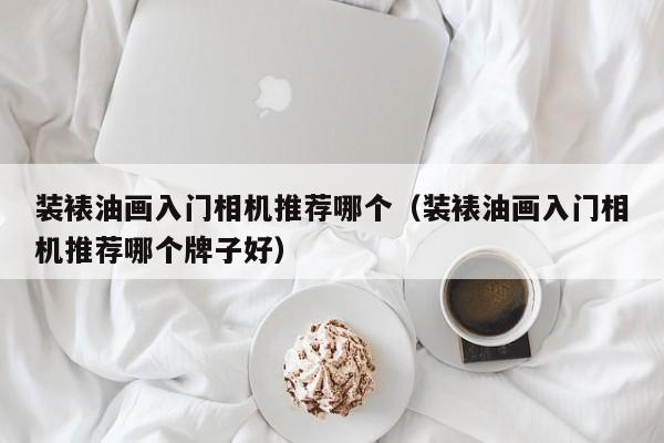 装裱油画入门相机推荐哪个（装裱油画入门相机推荐哪个牌子好）