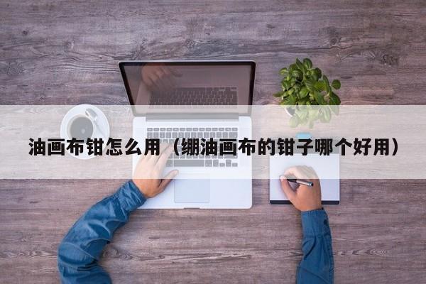 油画布钳怎么用（绷油画布的钳子哪个好用）