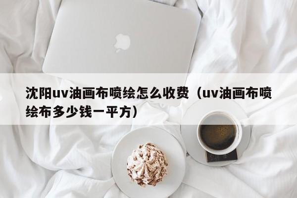 沈阳uv油画布喷绘怎么收费（uv油画布喷绘布多少钱一平方）